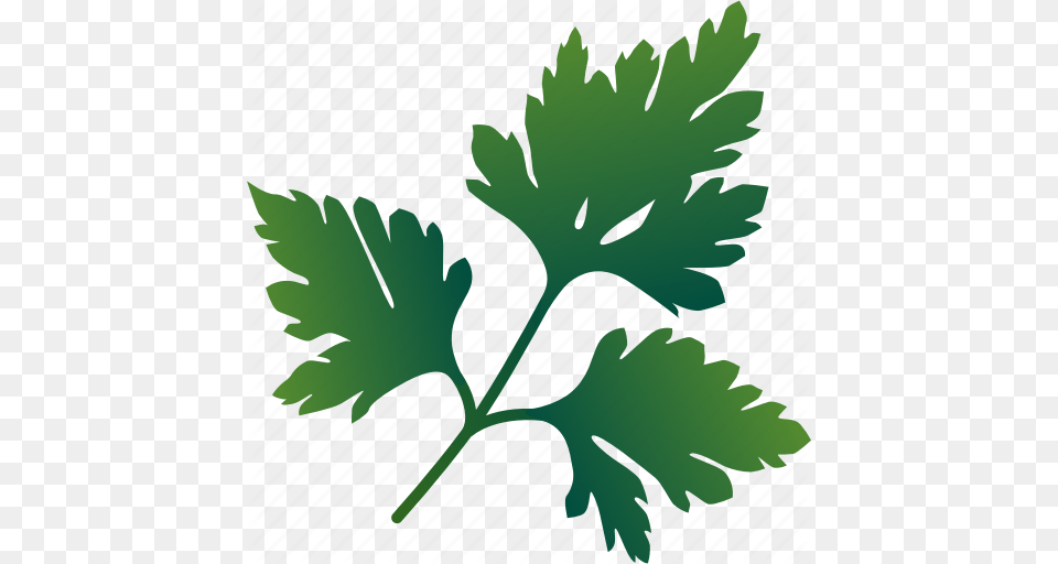 Food Greenery Healthy Parsley Spice Vegetarian Icon, Herbs, Plant, Leaf Png