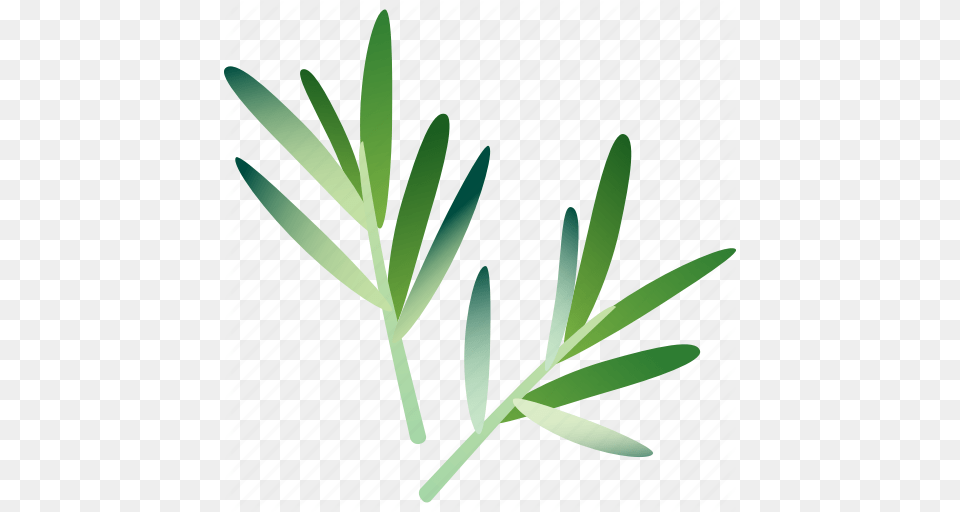 Food Greenery Healthy Rosemary Spice Vegetarian Icon, Plant, Leaf, Grass, Blade Free Transparent Png