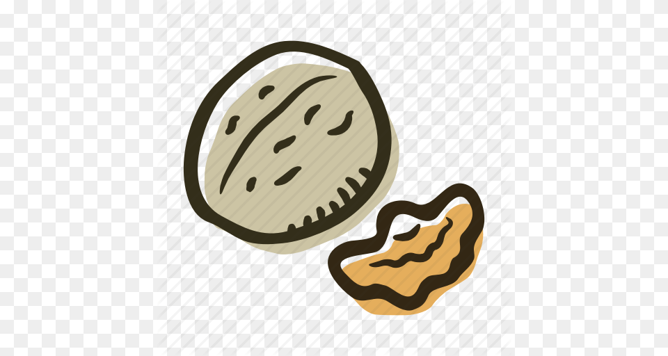 Food Healthy Nut Nuts Protein Snack Walnut Icon, Plant, Produce, Vegetable Png