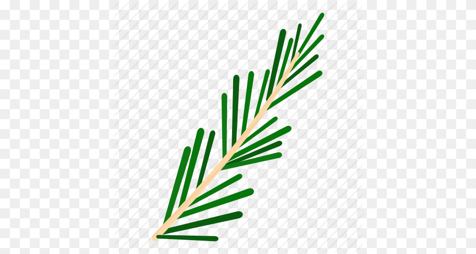 Food Herb Ingredient Plant Rosemary Spice Thyme Icon, Tree, Conifer, Grass, Fir Free Transparent Png