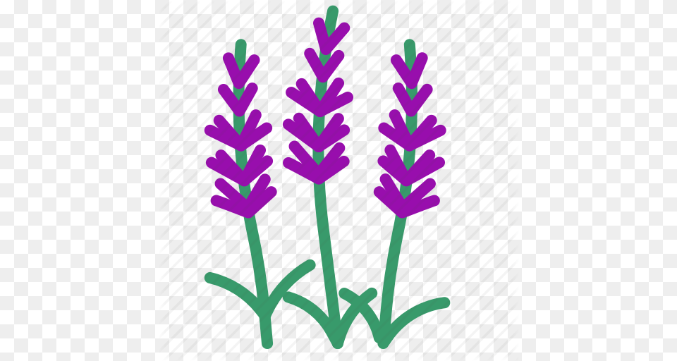 Food Herb Lavender Vegetable Icon, Flower, Plant, Purple Png