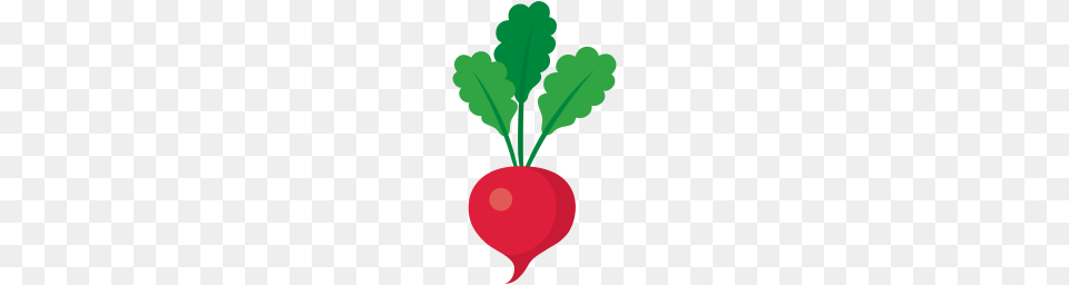 Food Icon Myiconfinder, Plant, Produce, Radish, Vegetable Free Transparent Png