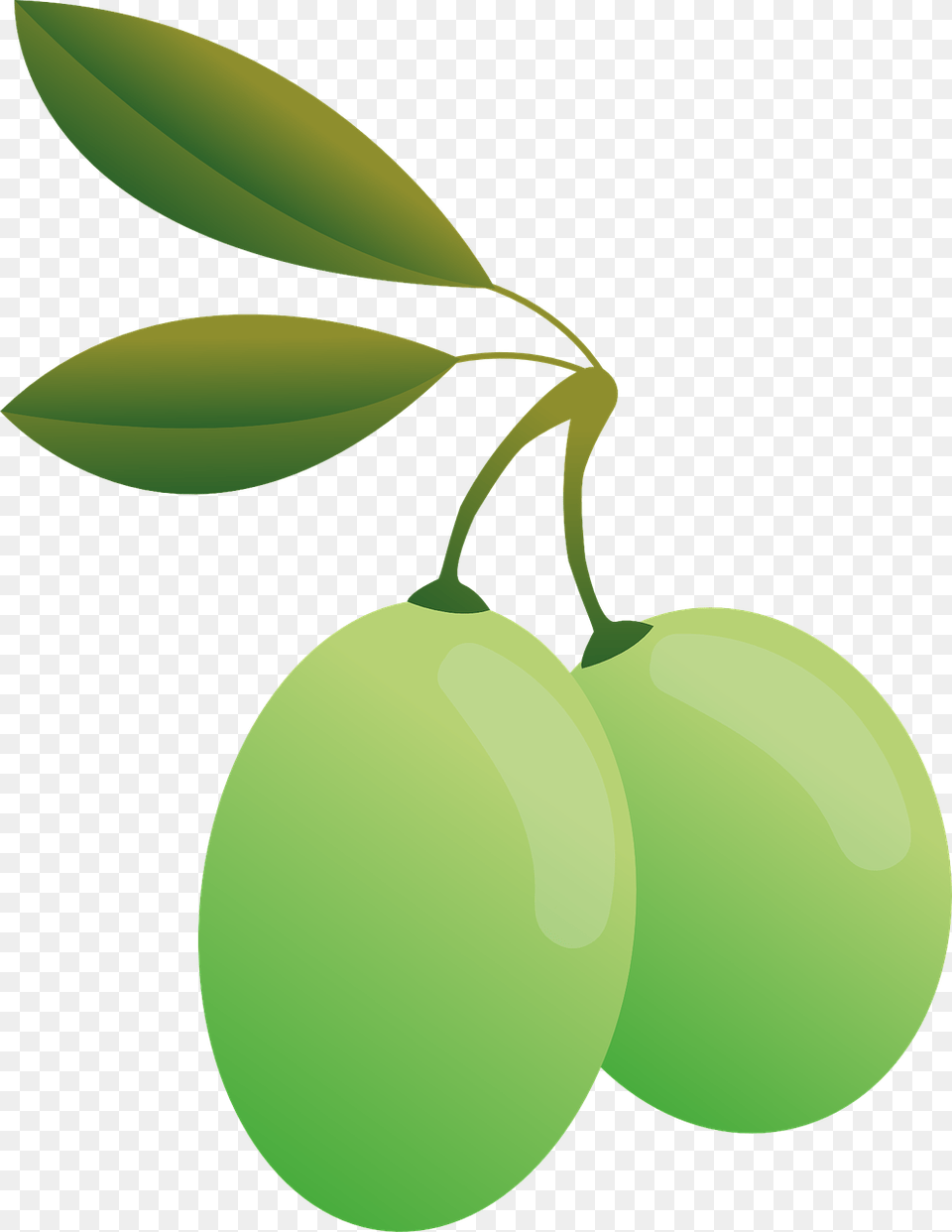 Food Olives Green Oil Olive Plants Food Green O, Fruit, Leaf, Plant, Produce Free Transparent Png