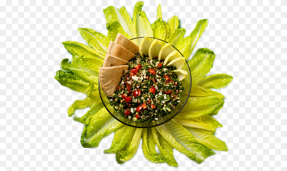Food Over 50 Tabbouleh Recipe Tabbouleh, Plant, Lettuce, Produce, Vegetable Png Image