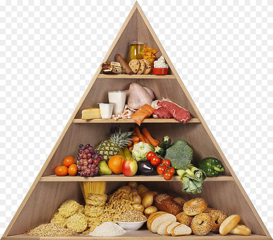 Food Pyramid Food Pyramid Transparent Background Free Png Download