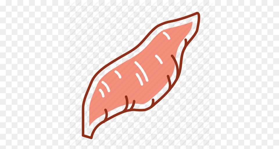 Food Root Sweet Potato Vegetable Icon, Plant, Produce, Sweet Potato, Bow Png