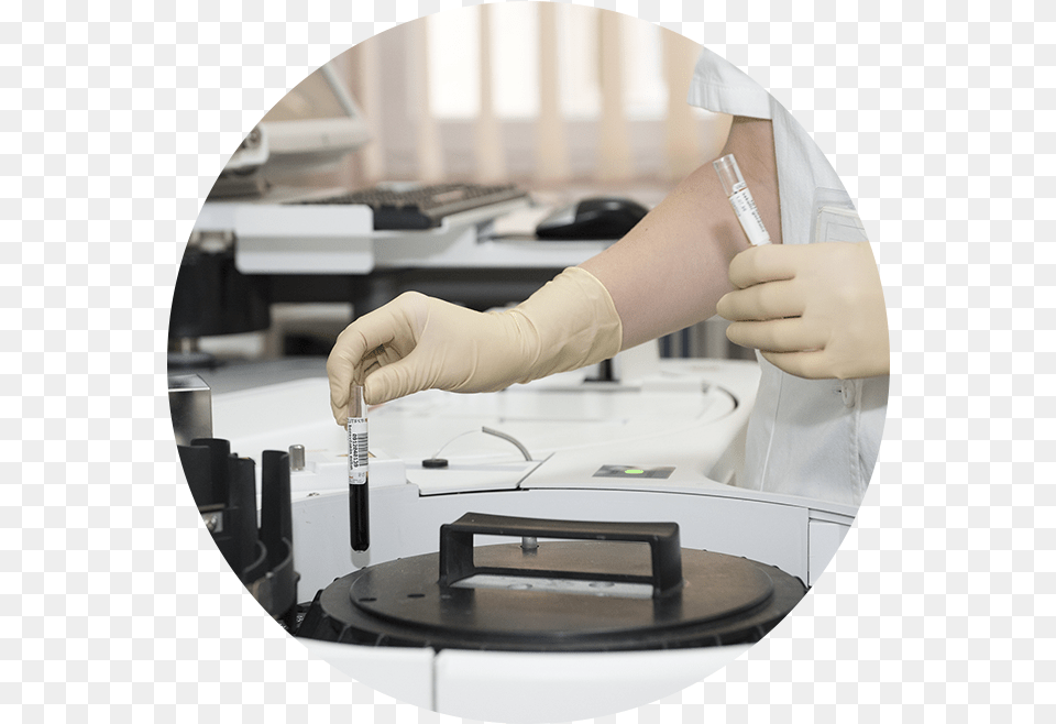 Food Safety Lab Laboratory, Clothing, Glove, Adult, Female Free Png