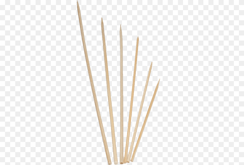 Food Service Essentials Twig Png