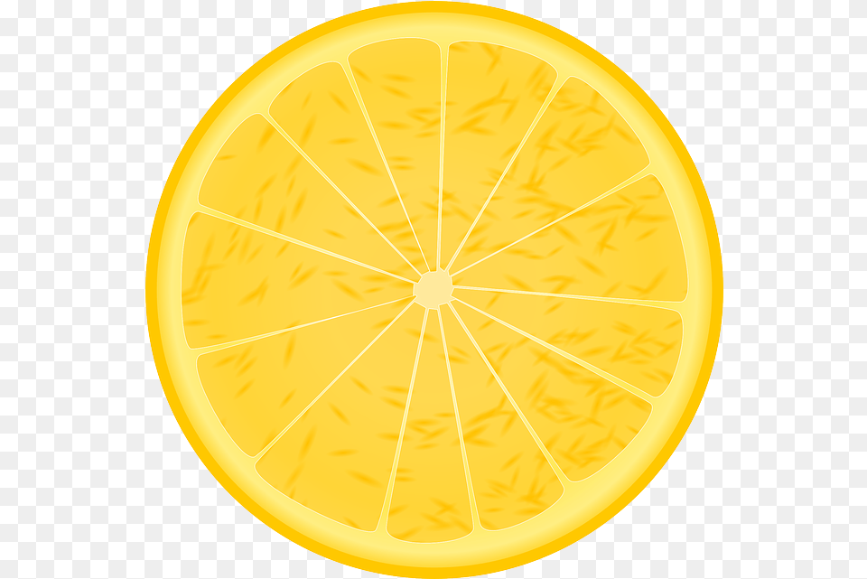 Food Slice Fruit Orange Circle, Citrus Fruit, Lemon, Plant, Produce Png