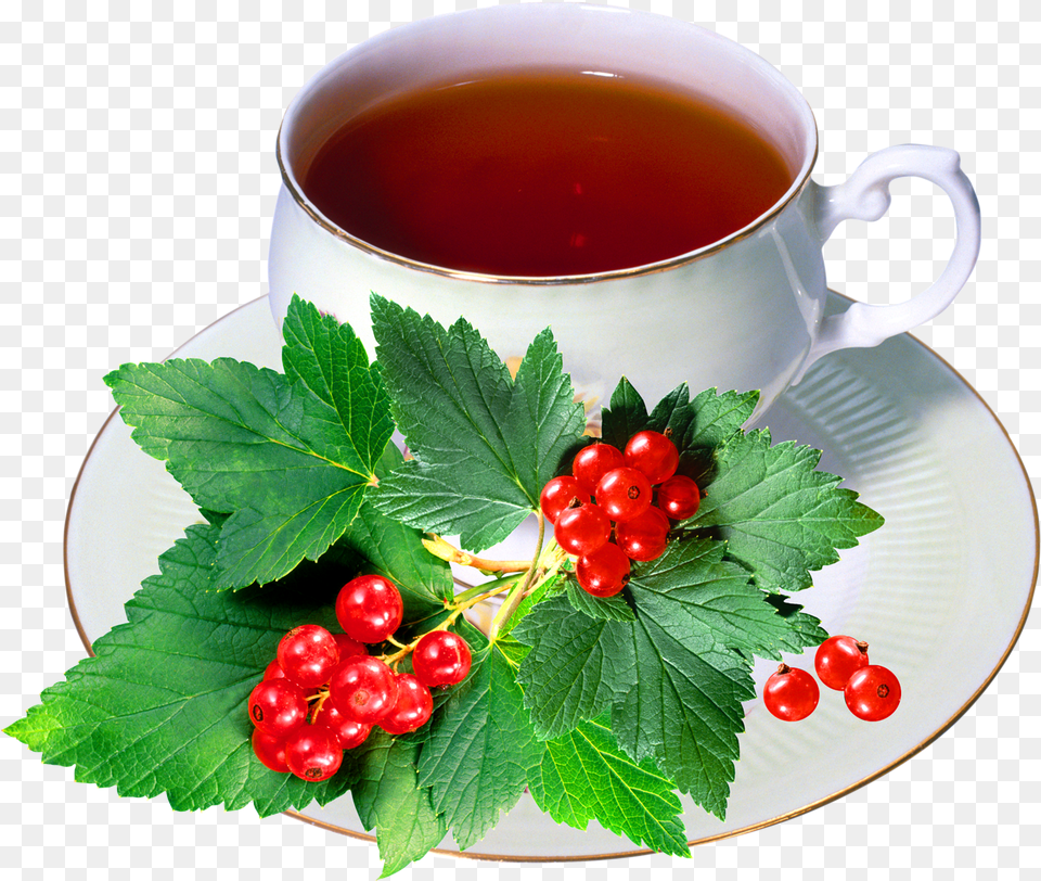 Food Images Redcurrant, Herbs, Cup, Herbal, Plant Free Transparent Png