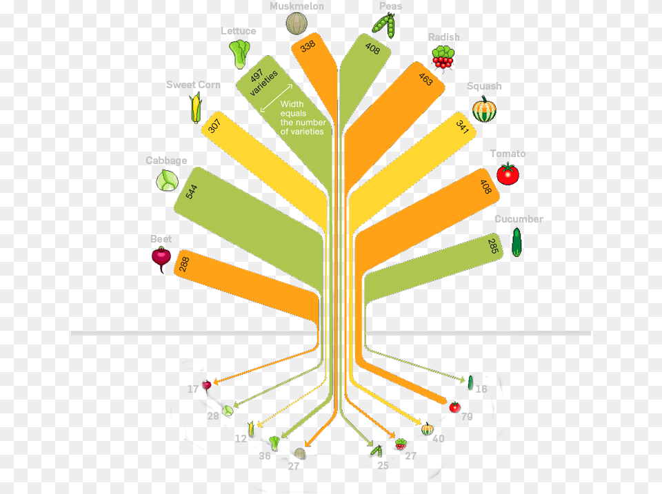 Food Variety Tree 754 Crop Diversity In Organic Farming, Art, Graphics, Dynamite, Electronics Png