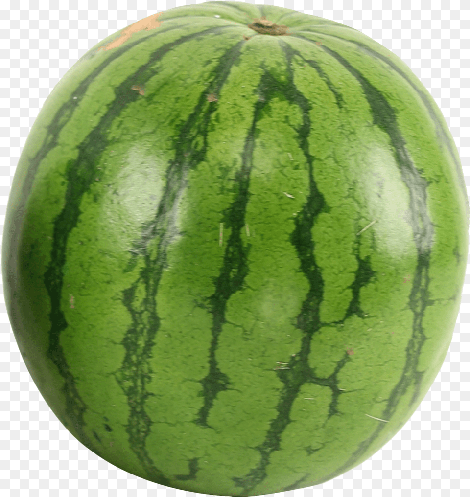 Food Watermelon, Fruit, Produce, Plant, Melon Free Png