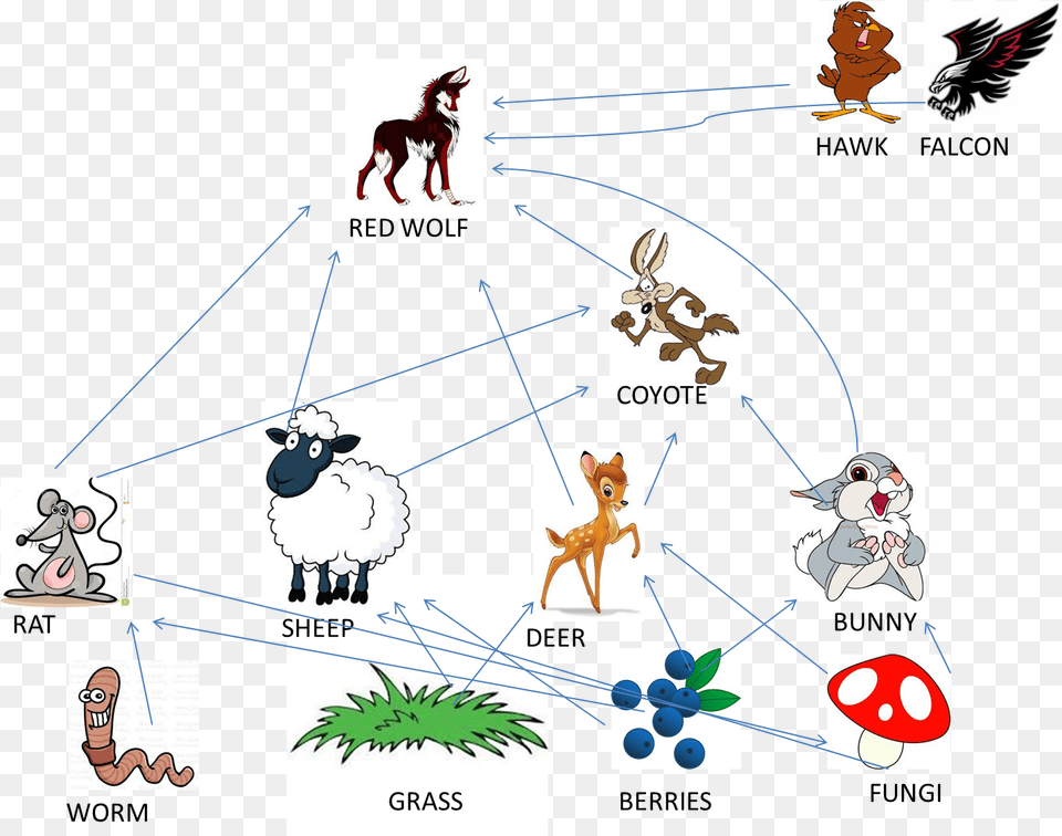 Food Web Red Wolf Food Chain, Person, Animal, Baby, Bird Free Transparent Png