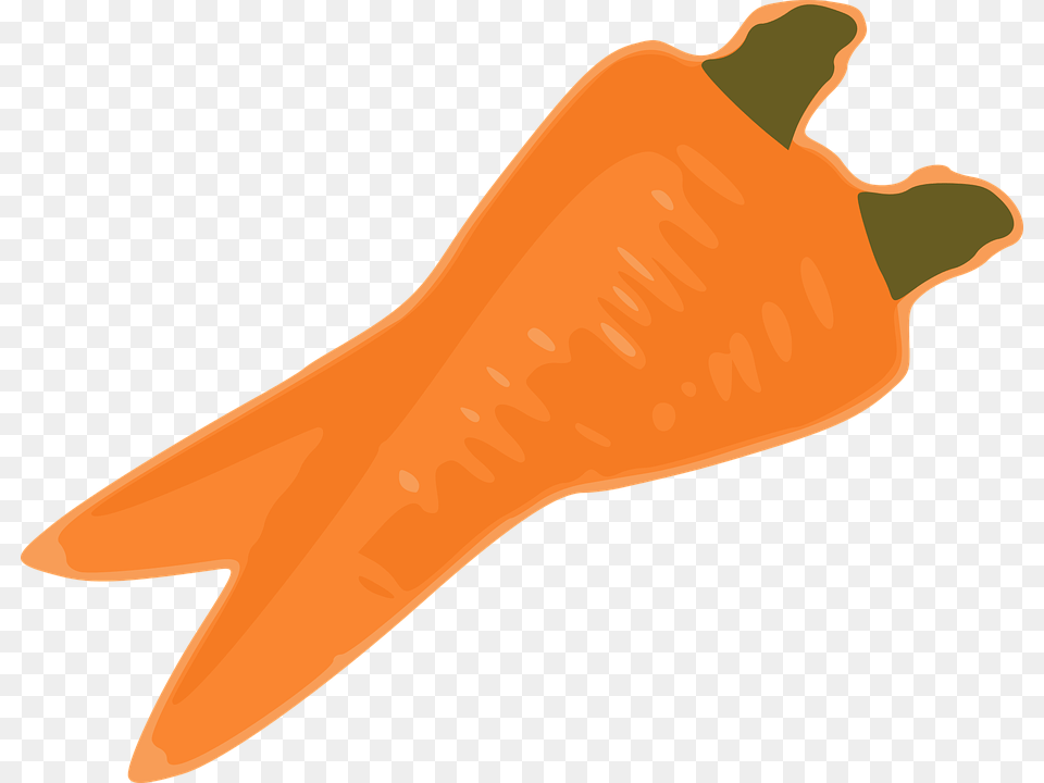 Foodcarrotbell Peppers And Chili Peppers Orange Carrots Clipart, Carrot, Food, Plant, Produce Free Png