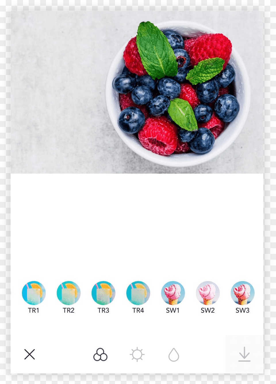 Foodie Fruit, Berry, Blueberry, Food, Plant Free Png