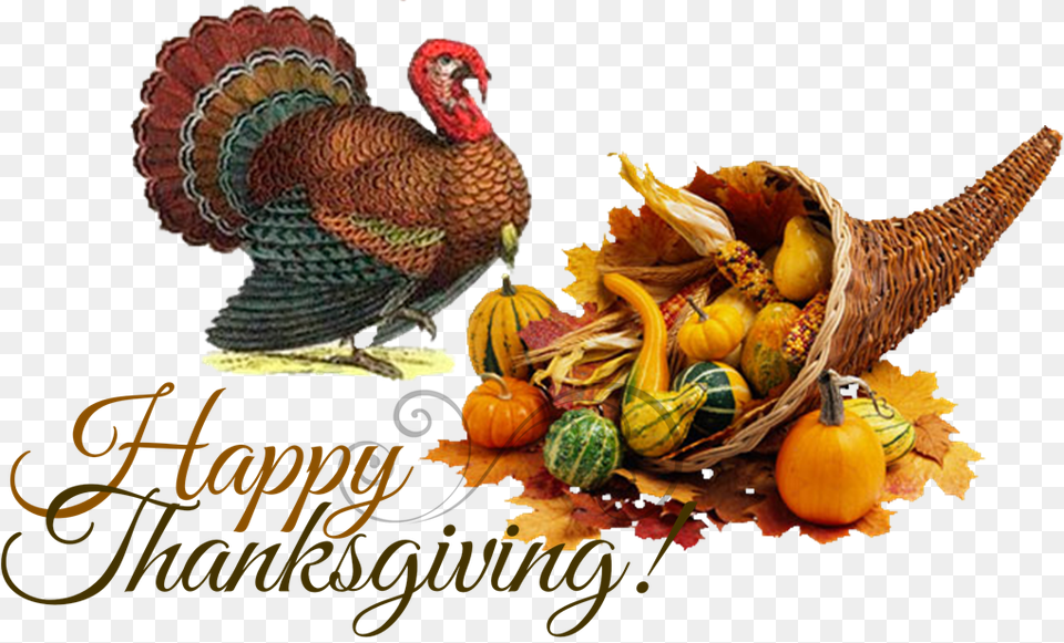 Foods Found At The First Thanksgiving, Animal, Bird, Food, Plant Free Png Download