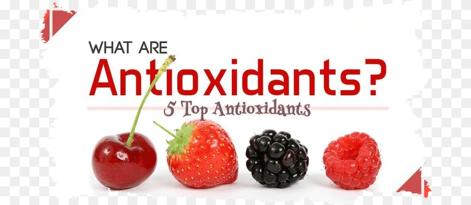 Foods High In Antioxidants Ainul Aishah Tutti Frutti, Berry, Food, Fruit, Plant Free Png