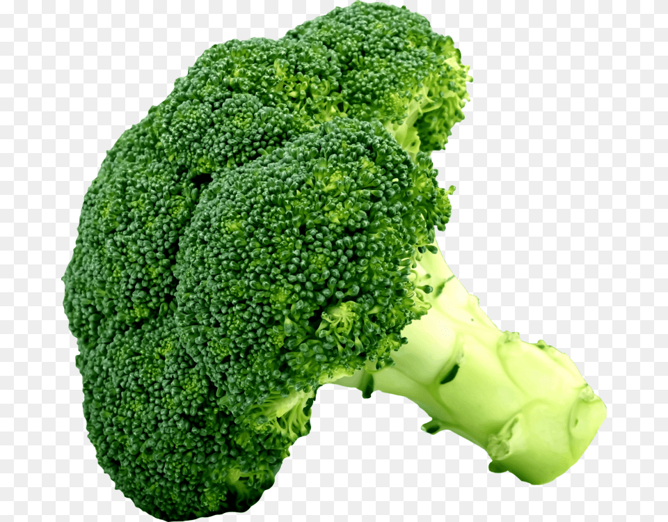 Foodsuperfoodvegetable Clipart Picture Of Broccoli, Food, Plant, Produce, Vegetable Png Image