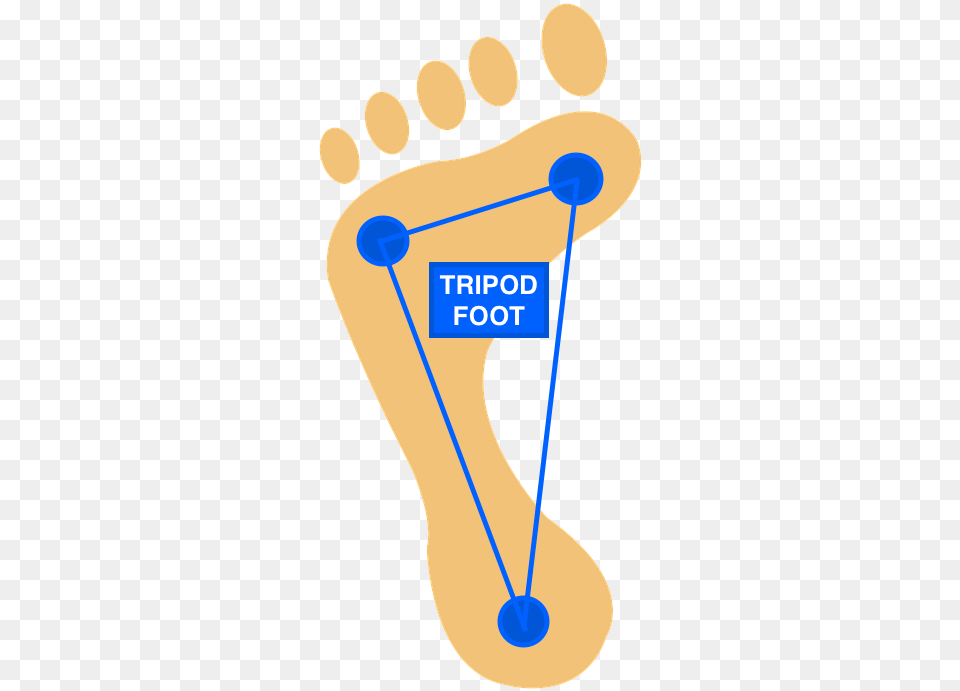 Foot, Footprint Free Png Download