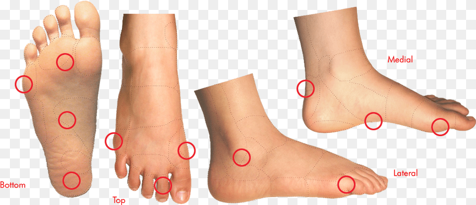 Foot Conditions, Ankle, Body Part, Person, Clothing Free Transparent Png