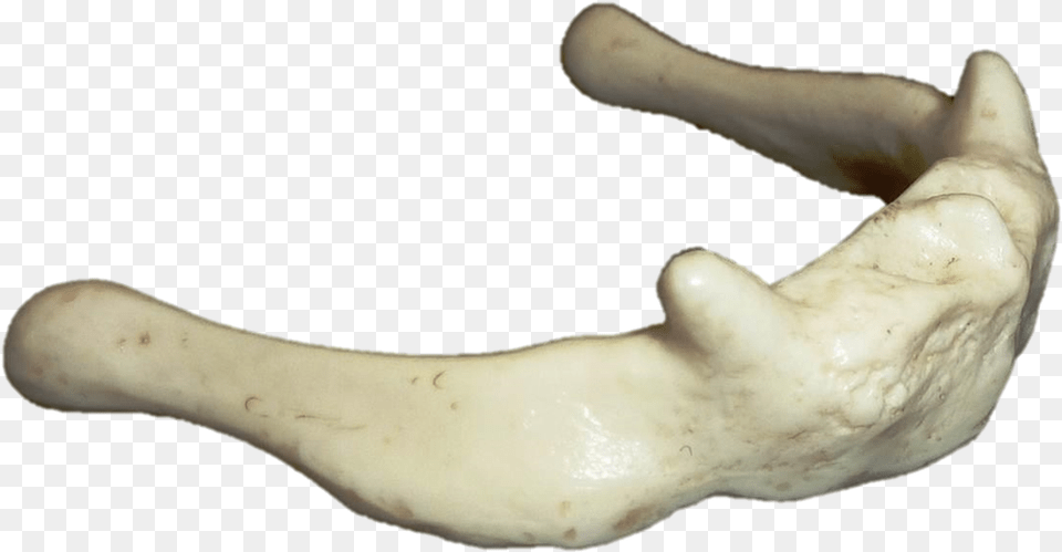 Foot Heel Clipart Irregular Bones Clipart, Electronics, Hardware, Body Part, Finger Png