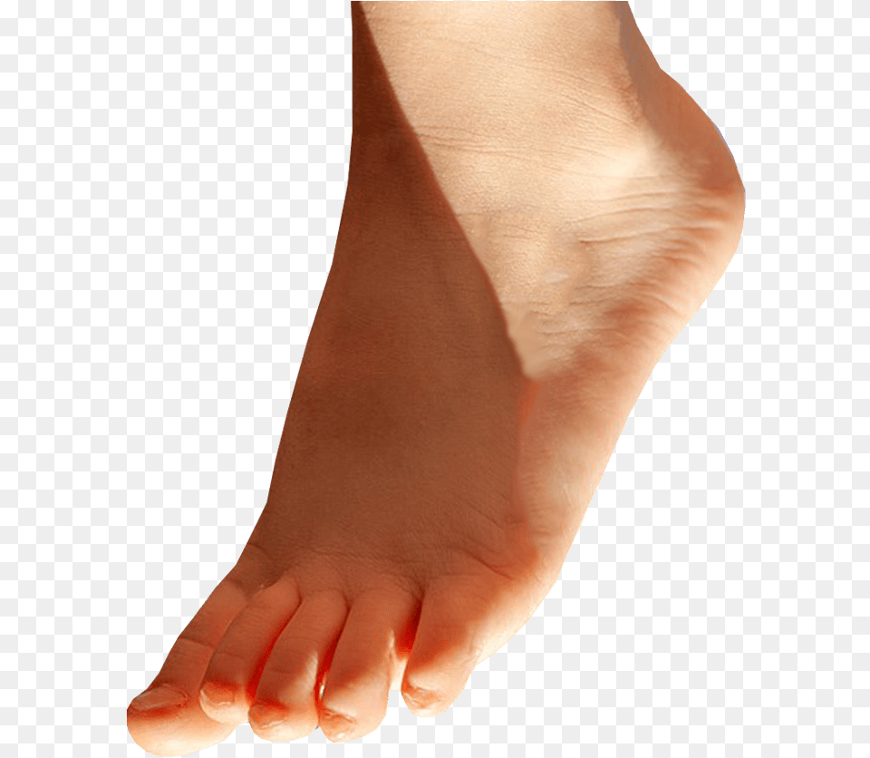 Foot Pointing Down Background Feet, Ankle, Body Part, Person, Adult Free Png