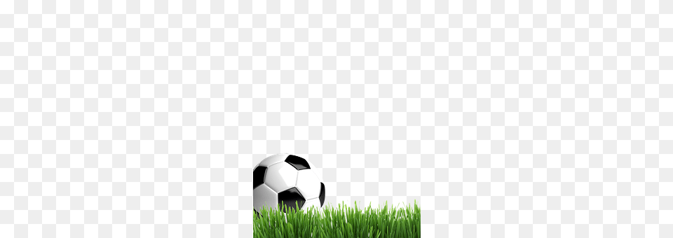 Football Ball, Soccer, Soccer Ball, Sport Free Transparent Png