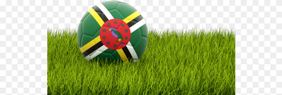 Football In Senegal, Ball, Grass, Plant, Soccer Png