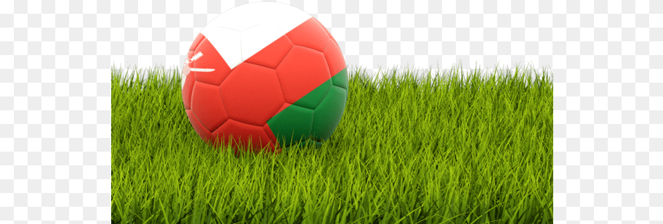 Football In United Kingdom, Ball, Grass, Plant, Soccer Png