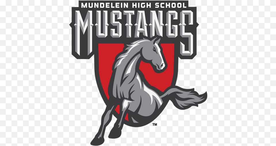 Football Mundelein High School Mundelein Mustangs, Animal, Horse, Mammal, Stallion Free Png Download