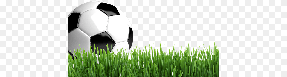 Football With Grass, Ball, Plant, Soccer, Soccer Ball Png Image