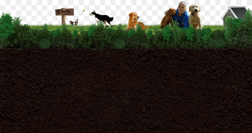 Footer Grass, Soil, Agriculture, Outdoors, Nature Free Transparent Png