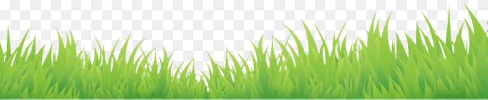 Footer Grass Sweet Grass, Green, Plant, Lawn, Vegetation Free Png