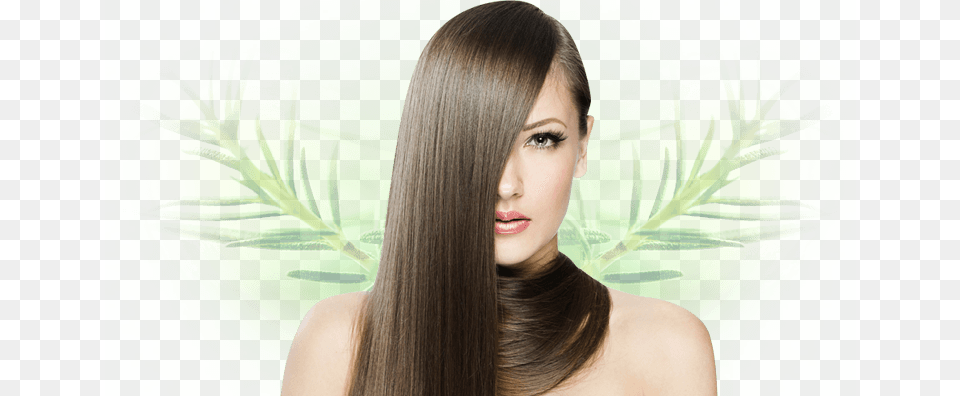 Footer Lady Jocca Hair Straightening Brush Black, Adult, Female, Person, Woman Png Image