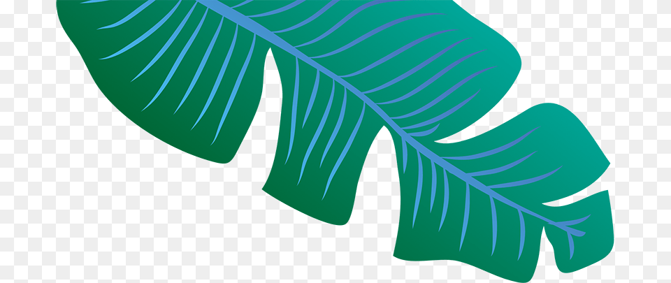 Footer Leaf Image Blue Banana Leaf, Art, Graphics, Green, Plant Free Transparent Png
