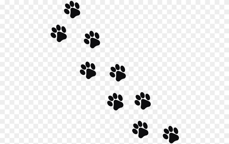 Footprint Animal Cat Background Paw Prints, Nature, Outdoors, Snow, Snowflake Free Png