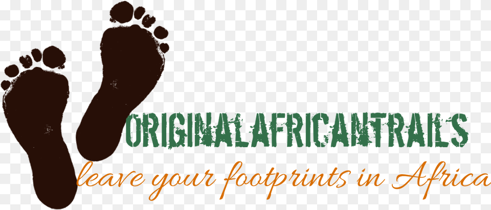 Footprint Transparent Trail, Barefoot, Person, Baby Png Image