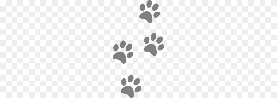 Footprints Footprint Png