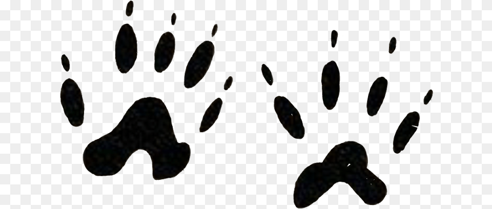 Footprints Animal Tatoo Wild Pawns Freetoedit Mussel, Footprint, Accessories, Earring, Jewelry Png