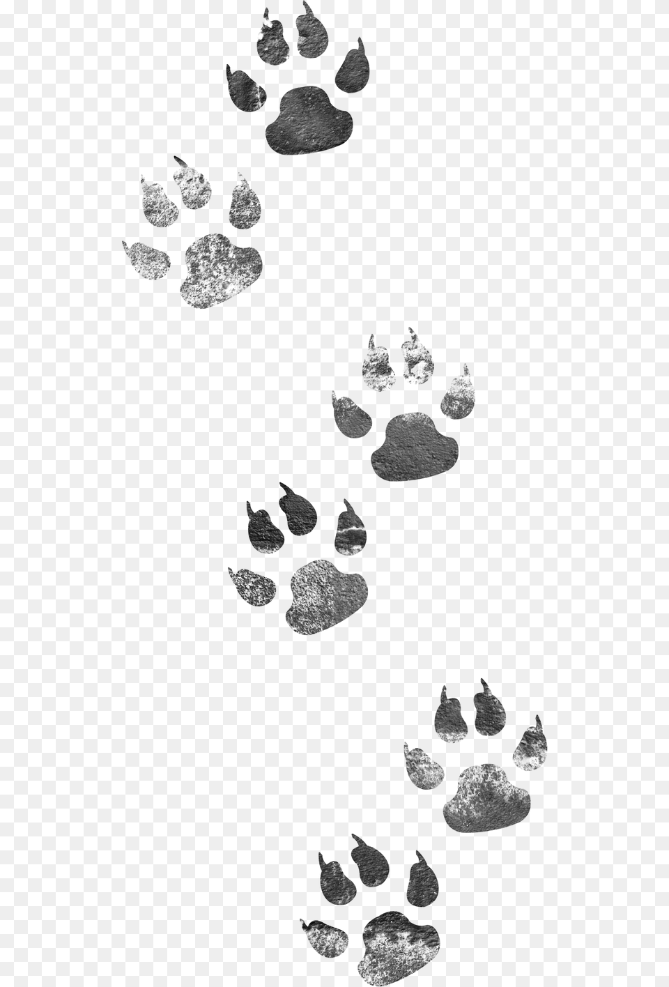 Footprints Dog Cat High Quality Clipart Animal Tracks Clip Art, Stencil Free Png