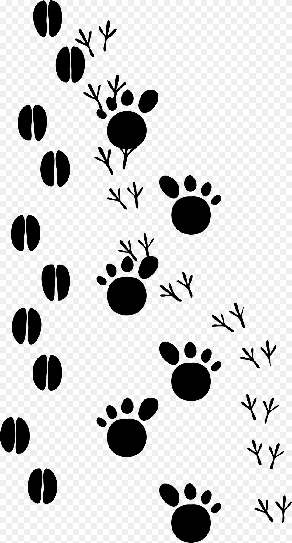 Footsteps Clipart, Footprint, Pattern, Animal, Bear Free Transparent Png