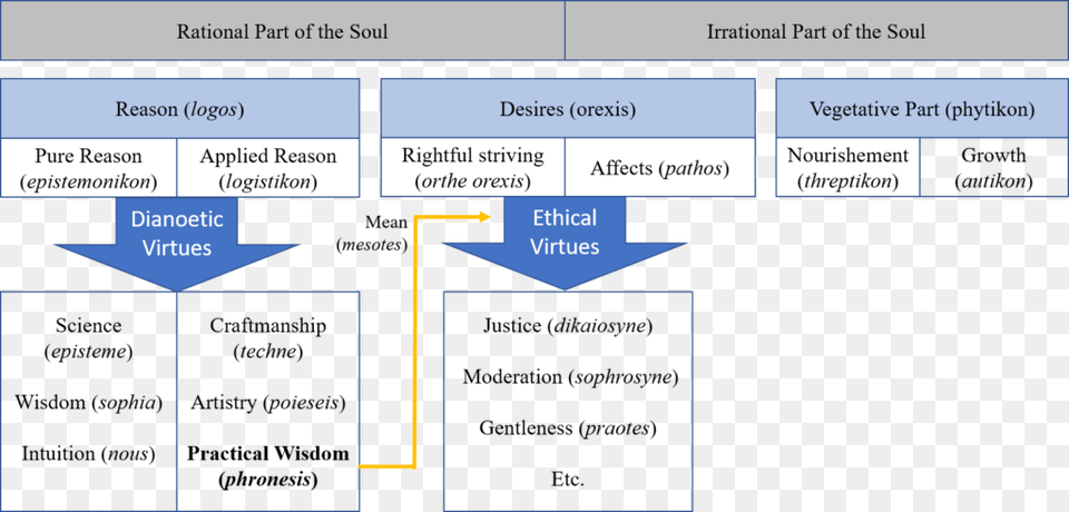 For Aristotle Moral Action Goes Far Beyond Mere Decision, Diagram, Uml Diagram Free Transparent Png
