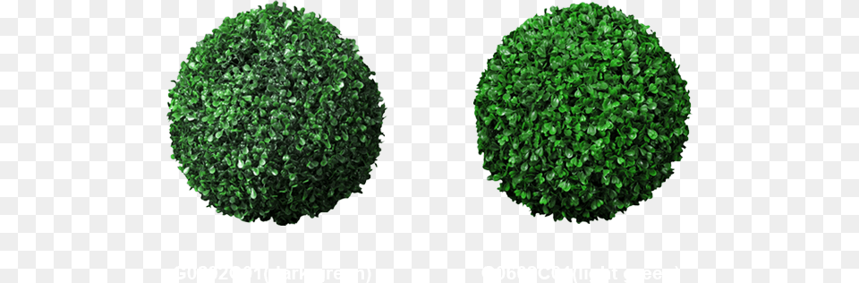 For Artificial Topiary Balls And Other Topiary Items Artificial Grass Ball, Fence, Green, Hedge, Plant Png Image