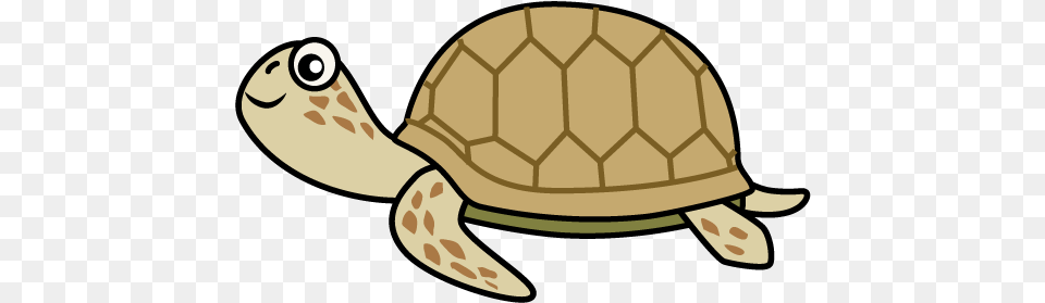 For Download Free Animal, Reptile, Sea Life, Tortoise Png Image