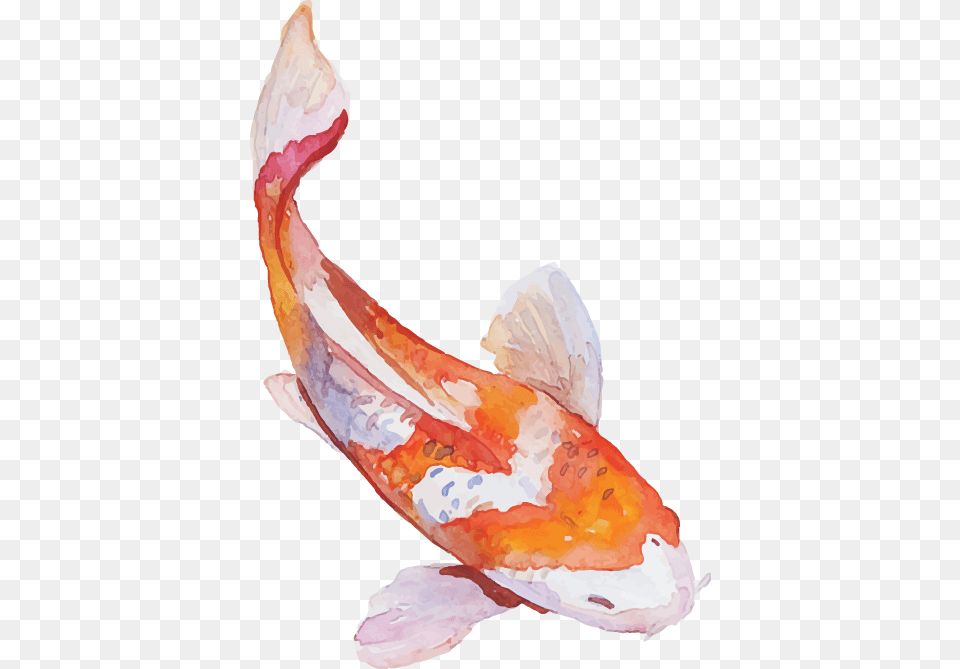 For Every 1 You Spend At D39s Authentic Japanese You Japanese Koi Fish, Animal, Sea Life, Carp, Smoke Pipe Free Png Download