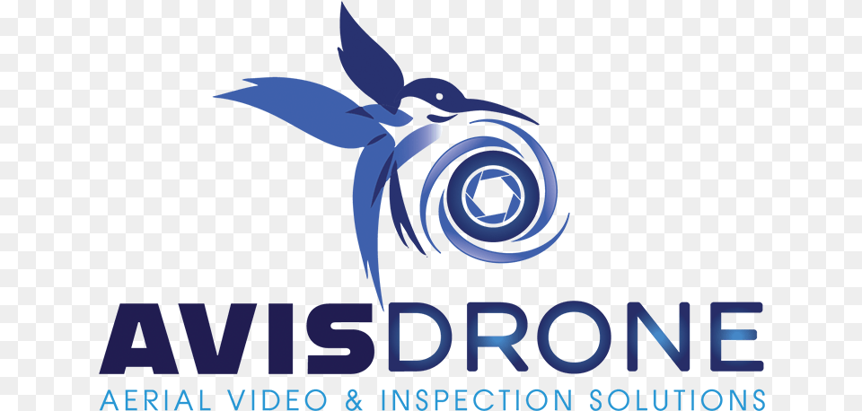 For Film Pipeline Video Inspection, Animal, Bird, Jay, Person Png Image