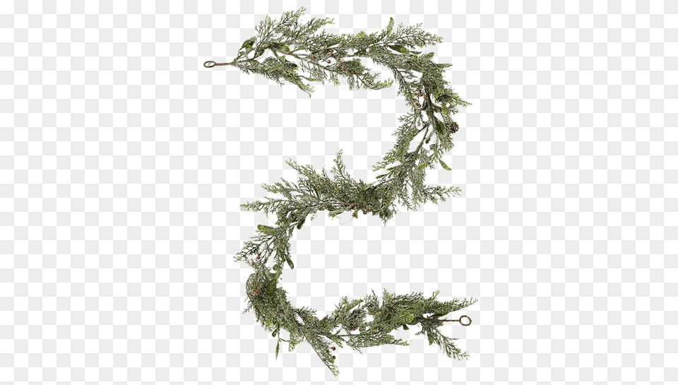 For Holiday Garland Amp Pvc Pond Pine, Plant, Tree, Moss, Fir Free Png Download