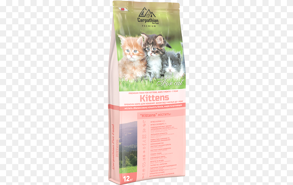 For Kittens Of All Breeds Artland Rita Kochmarjova Drei Kleine Ktzchen Sitzend, Animal, Cat, Kitten, Mammal Png Image