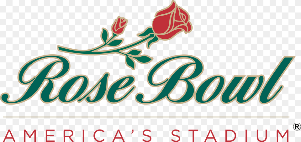 For More Information About The Spring Egg Bowl Call Rose Bowl, Flower, Plant, Text Png Image