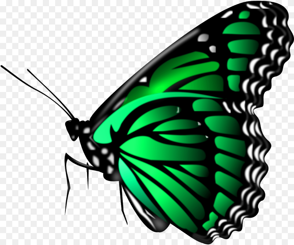 For Picsart, Animal, Butterfly, Insect, Invertebrate Free Transparent Png